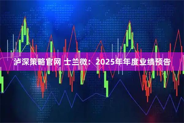 泸深策略官网 士兰微：2025年年度业绩预告