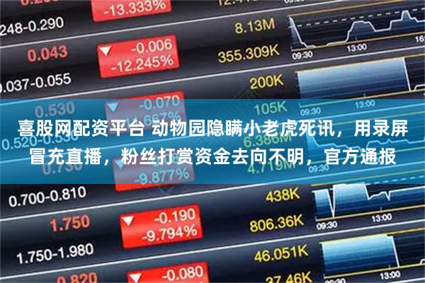 喜股网配资平台 动物园隐瞒小老虎死讯，用录屏冒充直播，粉丝打赏资金去向不明，官方通报