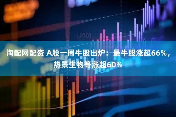 淘配网配资 A股一周牛股出炉：最牛股涨超66%，热景生物等涨超60%